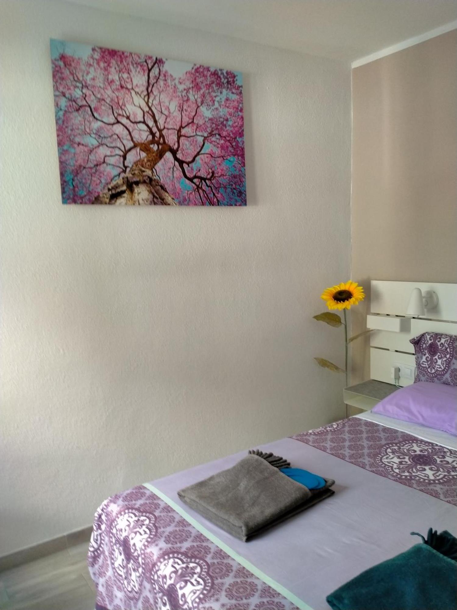 La Casa De Marcoq Lejlighed Costa Calma Eksteriør billede
